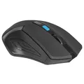 Defender Maus Accura MM-275, 1600DPI, 2.4 [GHz], optisch, 6Tas., schnurlos, schwarz, 1 Stk AA