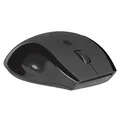 Defender Maus Accura MM-295, 1600DPI, 2.4 [GHz], optisch, 6Tas., schnurlos, schwarz, 1 Stk AA, Nano-Empfänger