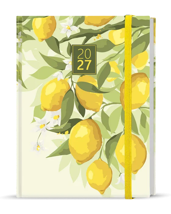 Hauptbild des Produkts Denní diář - Adam - Lamino - B6 - Citron