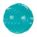 Weiteres Produktbild DentaFun-Ball, thermoplastischer Gummi (TPR) 6 cm