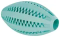 DENTAfun RUGBY-Ball mit Minze 11cm TRIXIE