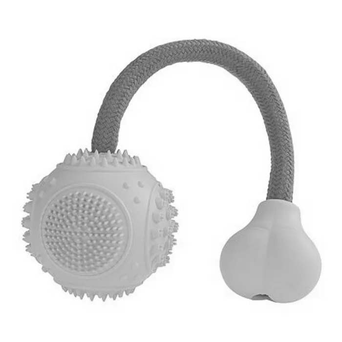 Hauptbild des Produkts Dentální mátový míček s růžovým lanem 6cm/25cm HipHop