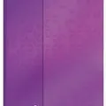 Weiteres Produktbild Urkundenplatten, A4, PP, mit Aufdruck, LEITZ Wow, bunt gemischt [6 Stk.]