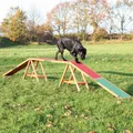 Weiteres Produktbild Dog Activity AGILITY Trainingsbrücke 456x64x30 cm