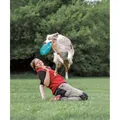Weiteres Produktbild Dog Activity fliegende Untertasse/Scheibe aus Kunststoff, 23 cm