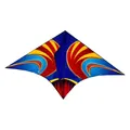 Drache 61 x 114 cm, gemischtes Design