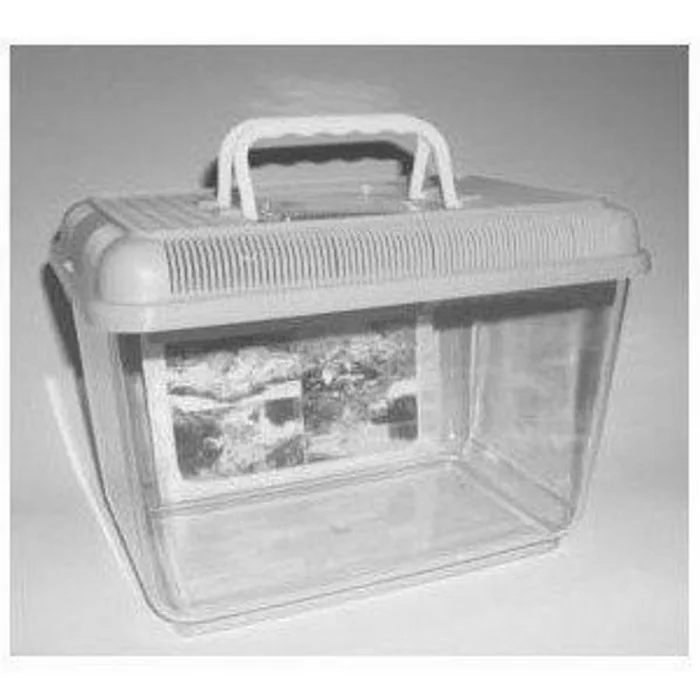 Hauptbild des Produkts Fauna box AQUAZOO III. 31x21x21cm 7,5L