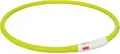 Weiteres Produktbild Flash USB Leuchthalsband XS-XL 70 cm / 10 mm, grün