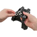 Weiteres Produktbild FlexMesh Premium-Gürtel, breiter Schnitt, Sangria XS-S: 40-57 cm / 15 mm