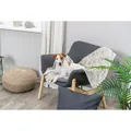 Weiteres Produktbild Fleecedecke LASLO mit Pfoten, beige 150 x 100 cm