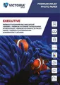 Fotopapier "Executive", für Tintenstrahldrucker, Hochglanz, 10x15cm, 260g, VICT 20 Blatt