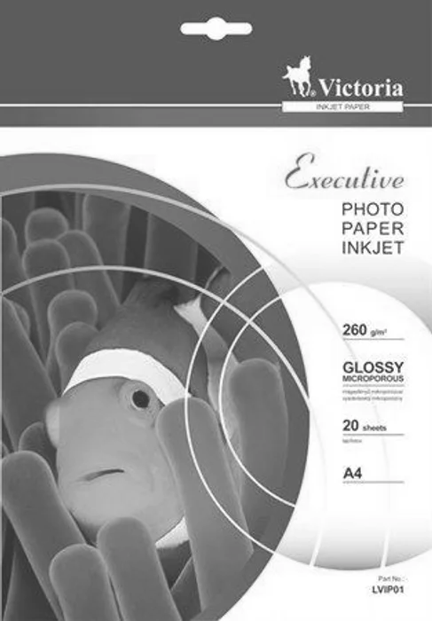 Hauptbild des Produkts Foto papír "Executive", do inkoustové tiskárny, vysoce lesklý, A4, 260g, VICTORIA 20 listů