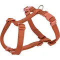 H-Geschirr PREMIUM, rostig S-M:Brust:42-60cm/15mm