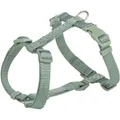 H-Geschirr PREMIUM, Salbei S-M: Brustumfang: 42-60cm/15mm