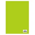 Seidenpapier 20g 50x70cm - hellgrün 26 Blatt/Packung