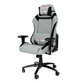 Gaming Stuhl Red Fighter C3, grau, abnehmbare Kissen