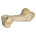 Weiteres Produktbild Rinderknochen weiß - extrudiert 1 Stück/36 cm