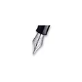 Spitze Waterman Hémisphere CT-Spitze F
