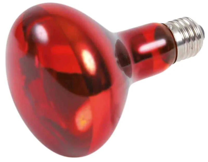 Hauptbild des Produkts Infrared Heat Spot-Lamp red 100 W