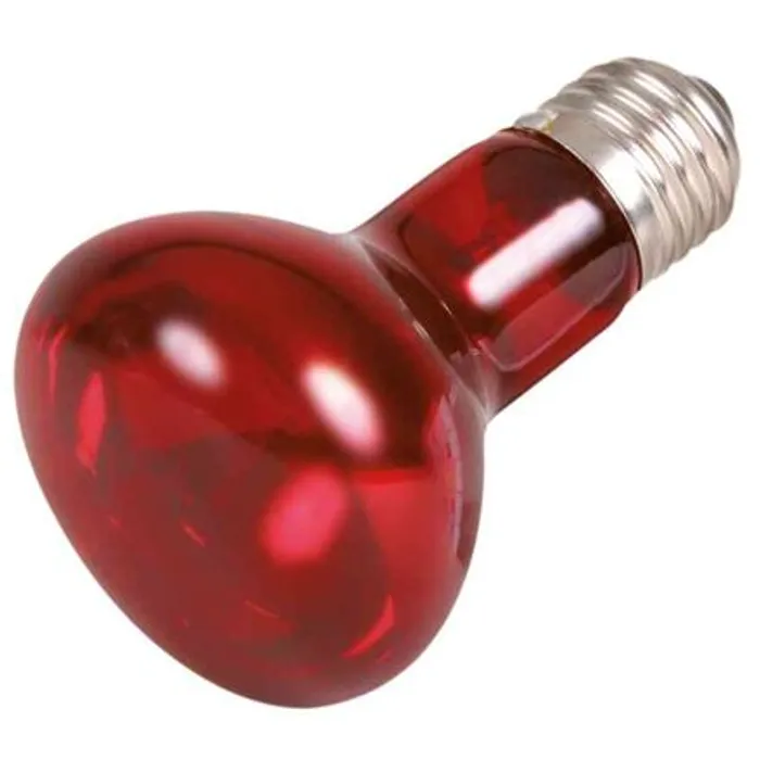 Hauptbild des Produkts Infrared Heat Spot-Lamp red 35 W