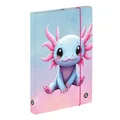 A4 Axolotl Notizbuchbox