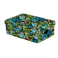 Große laminierte Schachtel Lustiger Junge