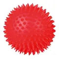 Igelball mittel 10 cm