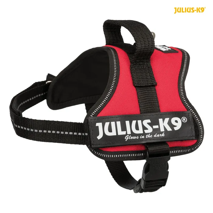 Hauptbild des Produkts Julius-K9 silový postroj Mini-Mini/XS 40-53 cm/22 mm - červená