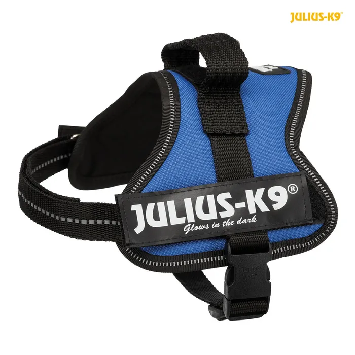 Hauptbild des Produkts Julius-K9 silový postroj Mini-Mini/XS 40-53 cm/22 mm - modrá