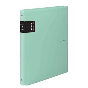 KARIS A4 PVC PASTELLINI grün