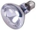 Becher (PET) glasklar durchmesser 48mm 2cl/4cl/5cl [40 St.]