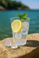 Pfandbecher (PP) Cocktail durchmesser 80mm 0,3L [30 St.]