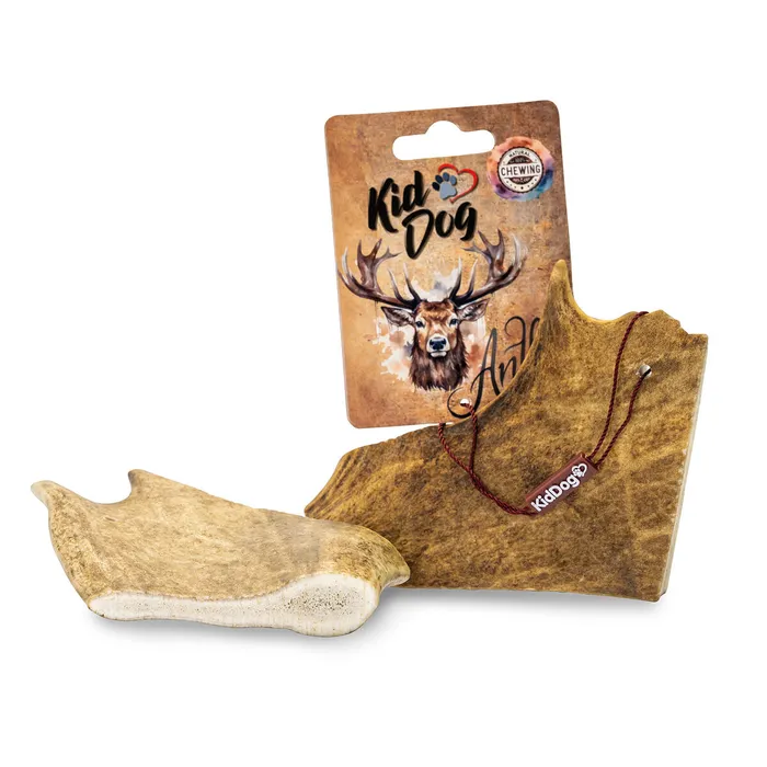 Hauptbild des Produkts KIDDOG Antler, dančí paroh - L