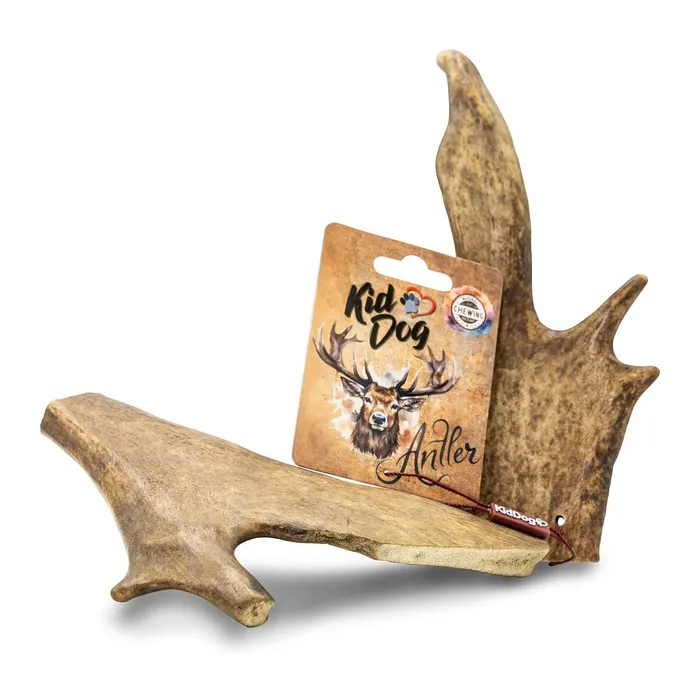 Hauptbild des Produkts KIDDOG Antler, dančí paroh - XL