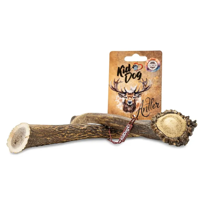 Hauptbild des Produkts KIDDOG Antler, jelení paroh celý - L