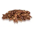 KIDDOG Lammchips mit Kabeljau 80 g