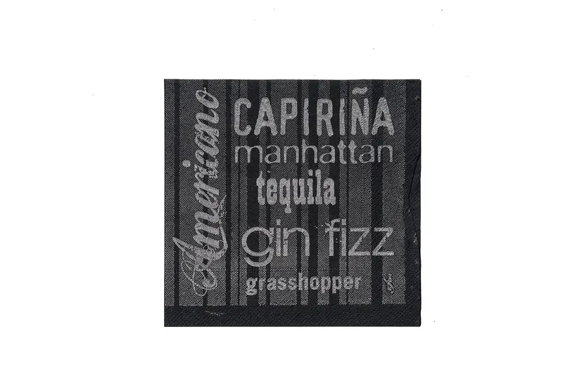 Hauptbild des Produkts Koktejlové ubrousky Infibra Drink 2vrstvé 25 × 25 cm černé s bílým potiskem [100 ks]