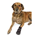 Weiteres Produktbild Bequeme schützende Nylonstiefel, 2 Stück M: z.B. Cocker Spaniel