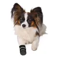 Weiteres Produktbild Bequeme schützende Nylonstiefel, 2 Stück M: z.B. Cocker Spaniel