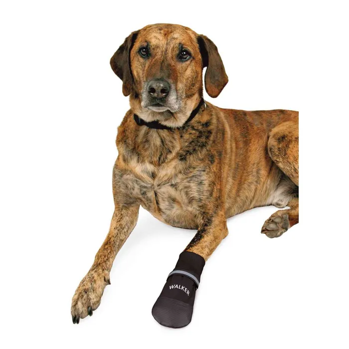 Hauptbild des Produkts Komfortní ochranné nylonové botičky, 2 ks XL: např. rhodéský ridgeback