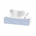 Weiteres Produktbild Kosmetiktuch (PAP FSC Mix) 2-lagig in Spenderbox [100 St.]