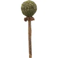 Kaulutscher MATATABI 11 cm Naturprodukt