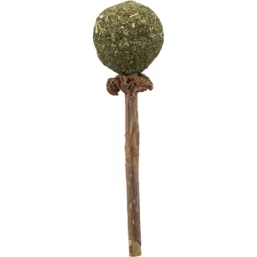 Kaulutscher MATATABI 11 cm Naturprodukt