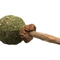 Weiteres Produktbild Kaulutscher MATATABI 11 cm Naturprodukt