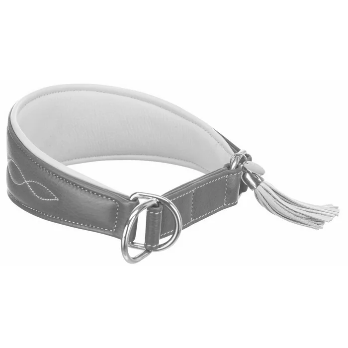 Hauptbild des Produkts Kožený obojek ACTIVE Comfort pro chrty - petrolejová/žlutá S-M:33-42cm/60mm