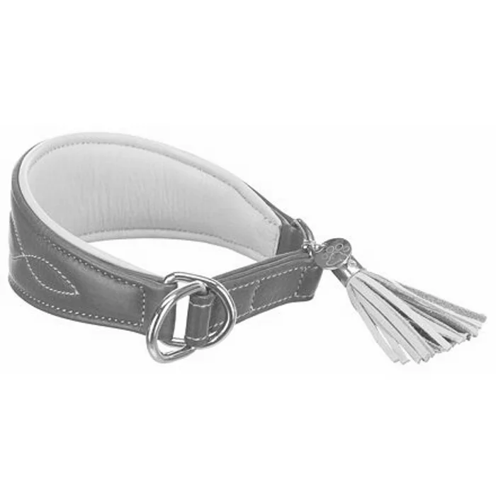 Hauptbild des Produkts Kožený obojek ACTIVE Comfort pro chrty - petrolejová/žlutá S:27-35cm/55mm