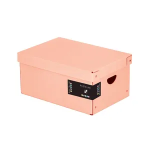 Laminatbox groß PASTELINI apricot