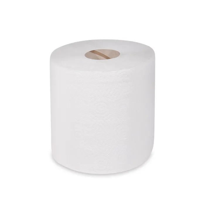 Hauptbild des Produkts Kuchyňská utěrka 2vrstvá `XXL` O19cm 20,3cm x 100m 445 útržků [1 ks]