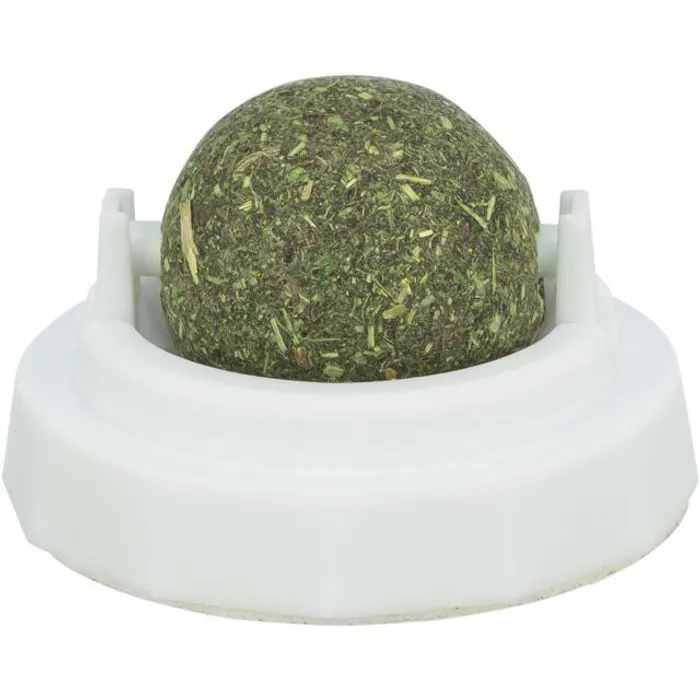 Hauptbild des Produkts Kulička Catnipu v samolepícím držáku, 5 cm, bílá/zelená