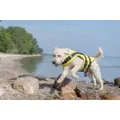 Weiteres Produktbild Schwimmweste Schwimmweste für Hunde S 35 cm: 42-66 cm, bis 20 kg gelb/schwarz